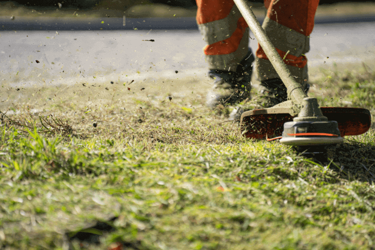 How to Start a Lawn Cutting Business: The Ultimate Guide