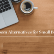 Zoom Alternatives for Small Businesses: Finding the Right Fit for Your Team