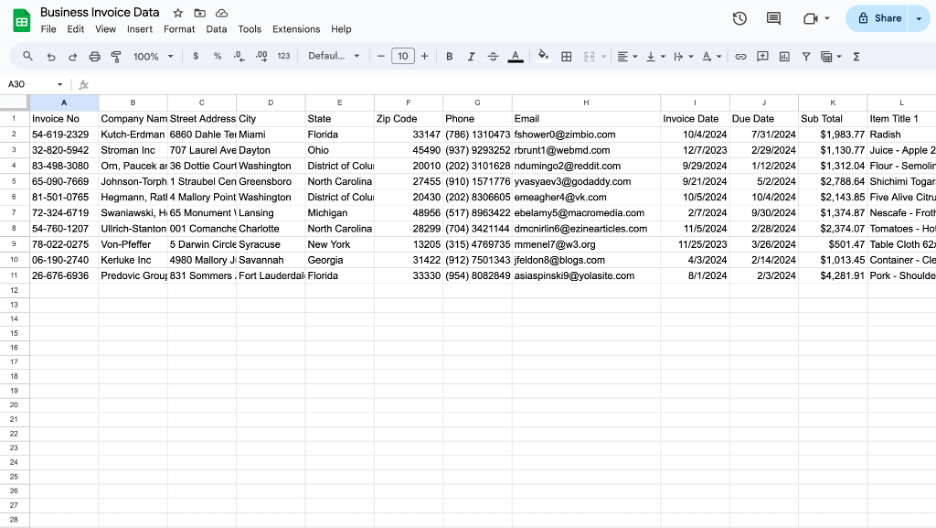 business invoice data