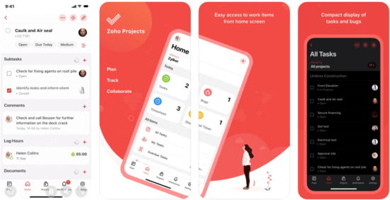 Zoho Projects Review: Best Practice, Features, and Pricing ...